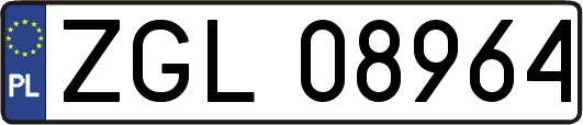 ZGL08964