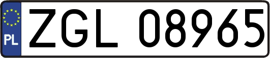 ZGL08965
