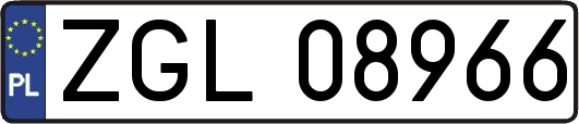 ZGL08966
