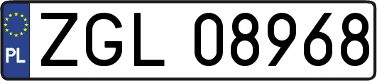 ZGL08968