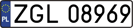 ZGL08969