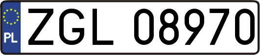 ZGL08970