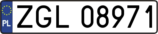 ZGL08971