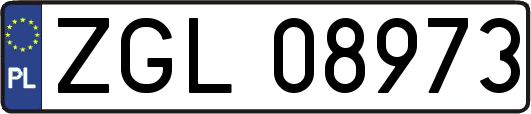 ZGL08973