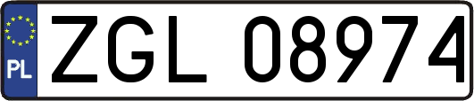 ZGL08974