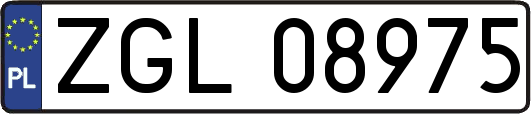 ZGL08975