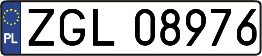 ZGL08976
