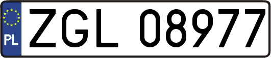 ZGL08977