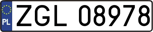 ZGL08978