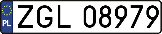 ZGL08979