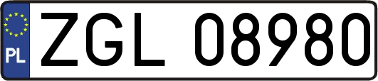 ZGL08980
