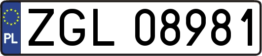 ZGL08981
