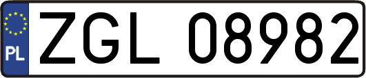 ZGL08982