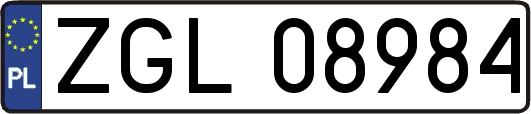 ZGL08984