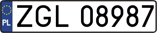 ZGL08987