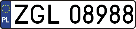 ZGL08988