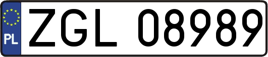 ZGL08989
