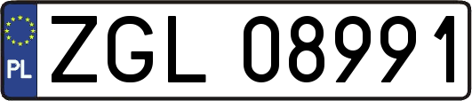 ZGL08991