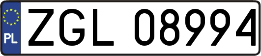 ZGL08994