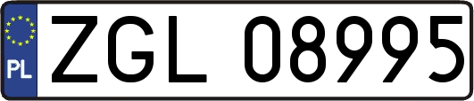 ZGL08995