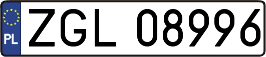 ZGL08996
