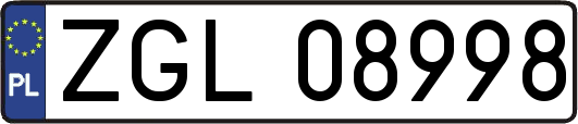 ZGL08998
