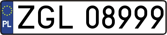 ZGL08999