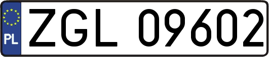 ZGL09602