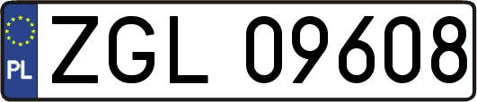 ZGL09608