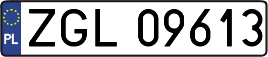 ZGL09613