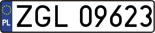 ZGL09623