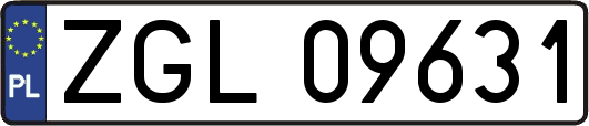 ZGL09631