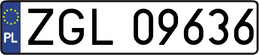 ZGL09636