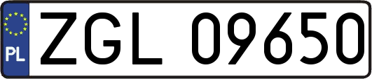 ZGL09650