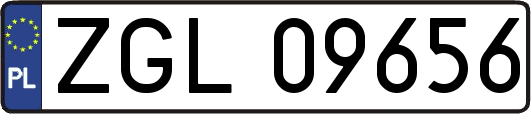 ZGL09656