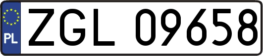 ZGL09658
