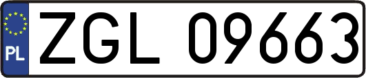ZGL09663