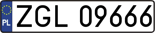 ZGL09666