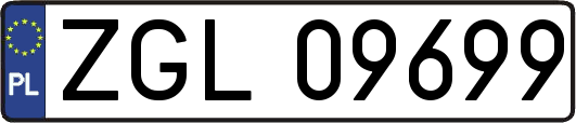 ZGL09699