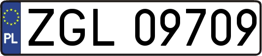 ZGL09709