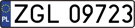 ZGL09723