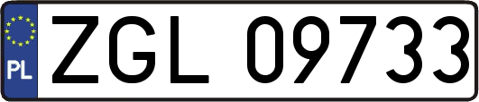 ZGL09733