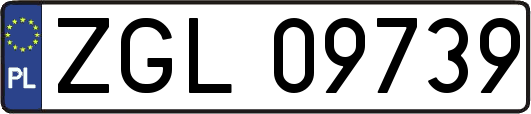ZGL09739