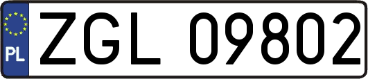 ZGL09802