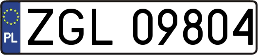 ZGL09804