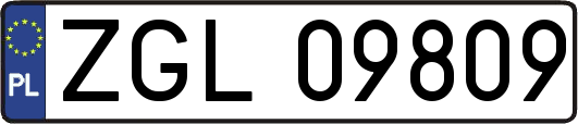 ZGL09809