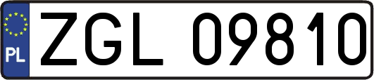 ZGL09810