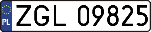 ZGL09825