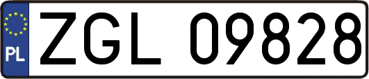 ZGL09828