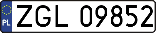 ZGL09852